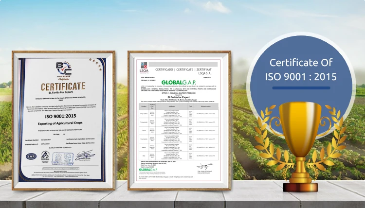 Конкурентоспособная цена оптовая продажа высококачественные питательные красные Замороженные гранаты для подлинных оптовых