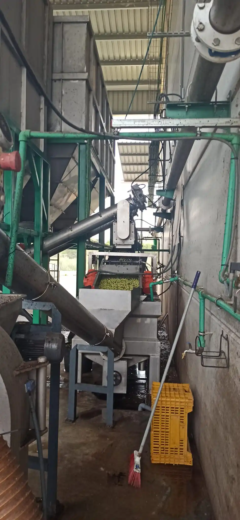 Превосходное испанское оливковое масло холодного отжима премиум класса 1 л ПЭТ бутылка ручной уборки натурального происхождения из Испании