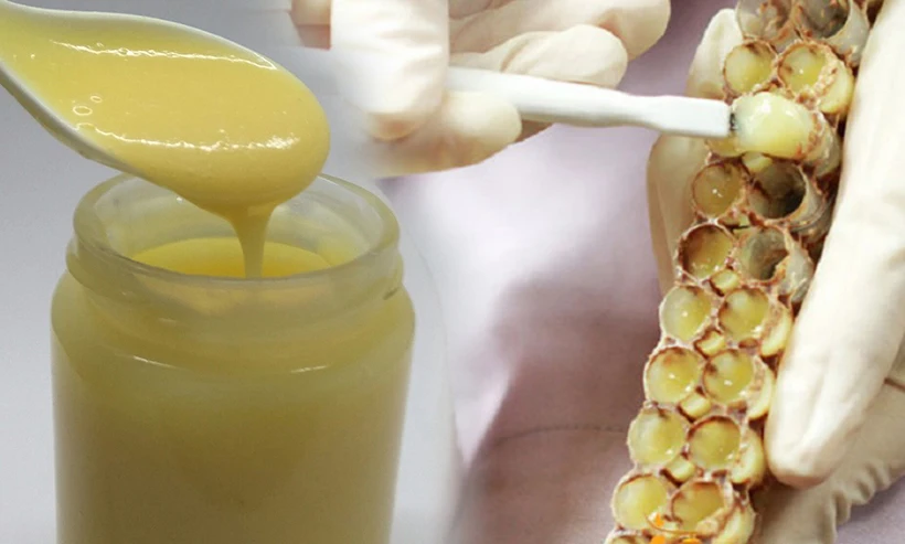 2022 Wholesales Tasabee Royal Jelly Factory Supplier Bee Products Healthcare Organic Fresh Royal Jelly