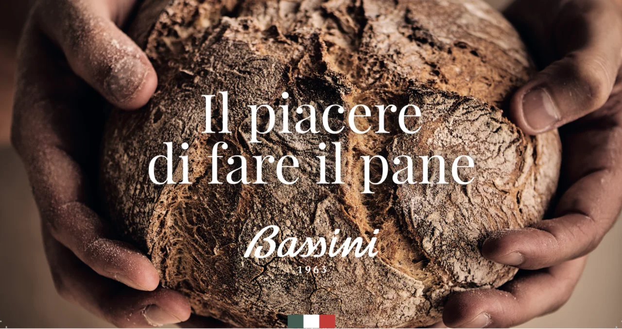 Italian crusty roll with walnuts and extra virgin olive oil for Wholesaler