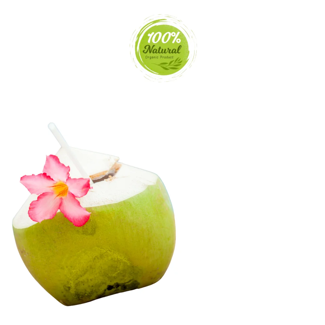 Vietnamese Fresh Coconut - Complete Natural Purity