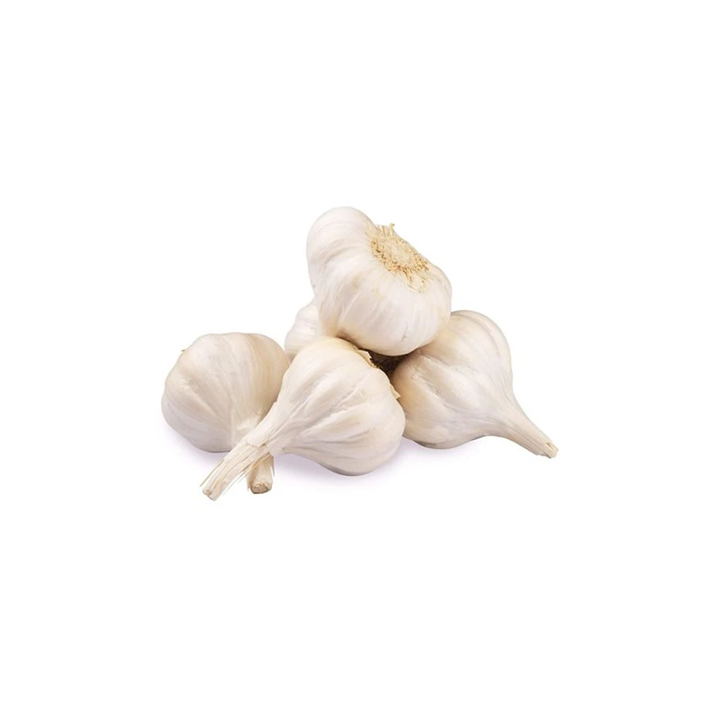 Best Selling Garlic Available At Wholesale Price From Indian Supplier