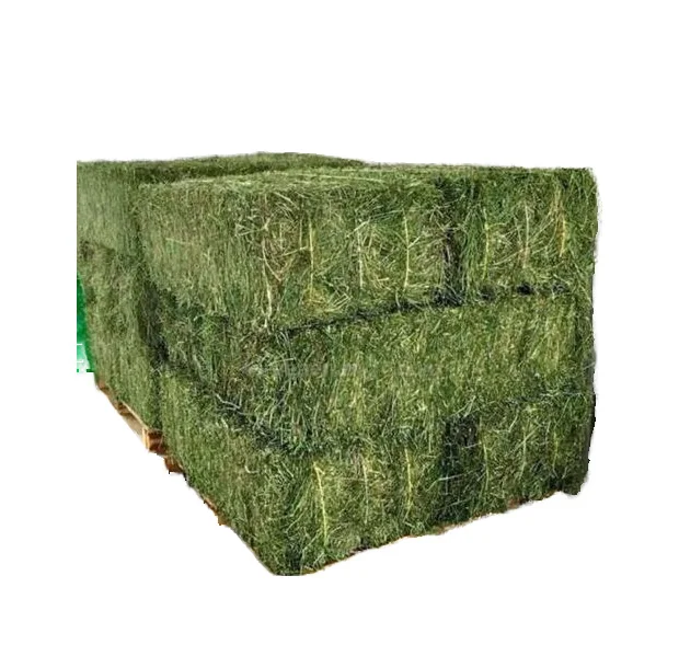 Timothy Hay and Lucerne Clover in Bales/Bermuda Orchard Grass Oat Hay