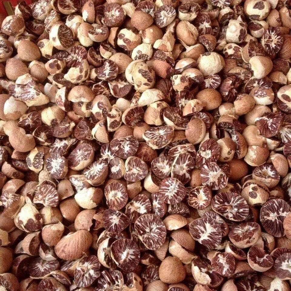 DRIED BETEL NUT WITH HIGH QUALITY , BEST PRICE EVER FROM VIET NAM