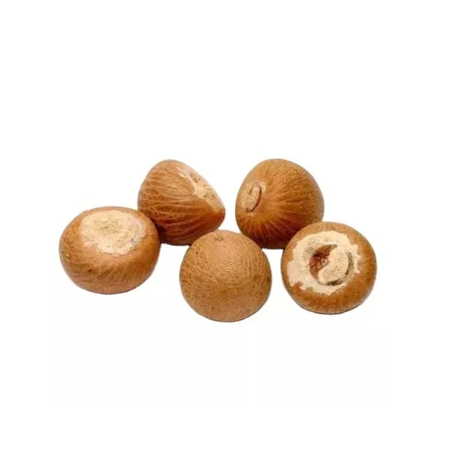 Top Quality Organic Export Oriented Areca Catechu Dried Betel Nut Color Brown Origin Betel Nut
