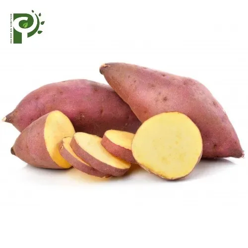 International Standard Yam Potatoes Sweet  Potatoes from Vietnam with good price Organic Fruits