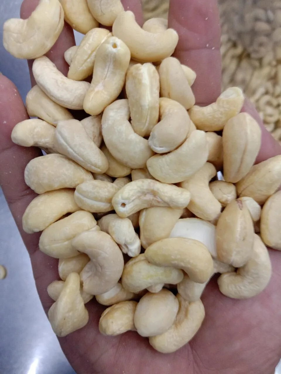 VIETNAM WHOLE CASHEW NUT WW320/ WW240/ WW180  Good Price High Quality For Middle East Market