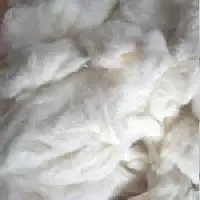 100% Cotton Comber Noil Cotton Card Fly Lickerin Waste Vietnam Manufacturer Price - Whatsapp/Wechat: +84379007507 - Amy