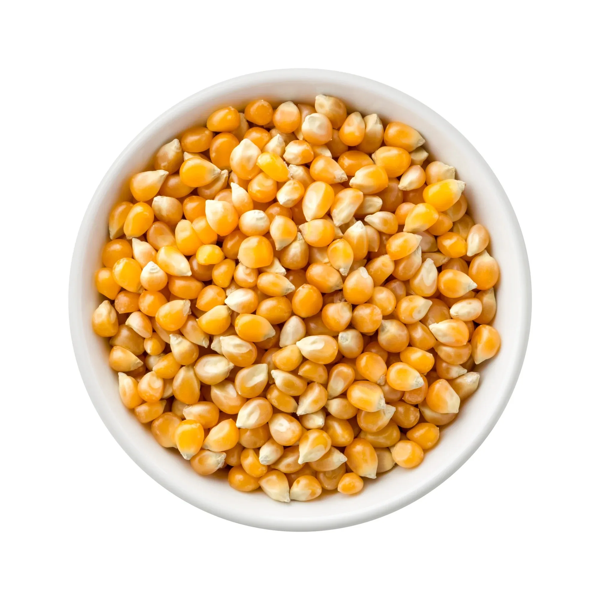 Best Supplier of High Purity Natural Dried Popcorn Kernels Wholesale Price for Global Export Bulk Popcorn Kernels Available