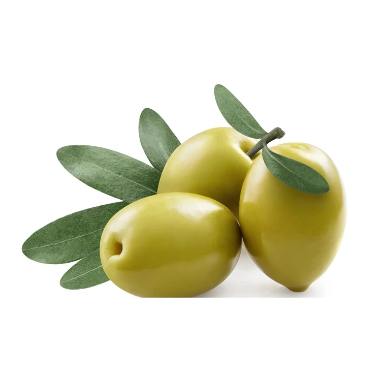 Canned and Well Preserved Olives Bulk Suppliers BRC Fresh Color: Green 100 Maturity COMMON Cultivation 0.5 Kg
