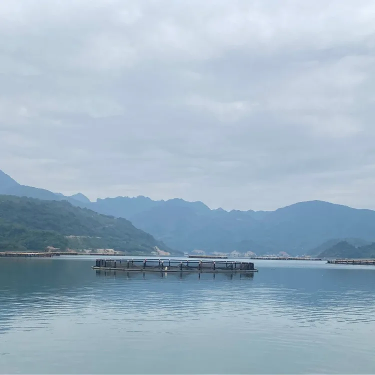 High Quality Custom HDPE Floating round Crab Fishing Cage Secure Aquatic Research Center Net from Vietnamese Manufacturer