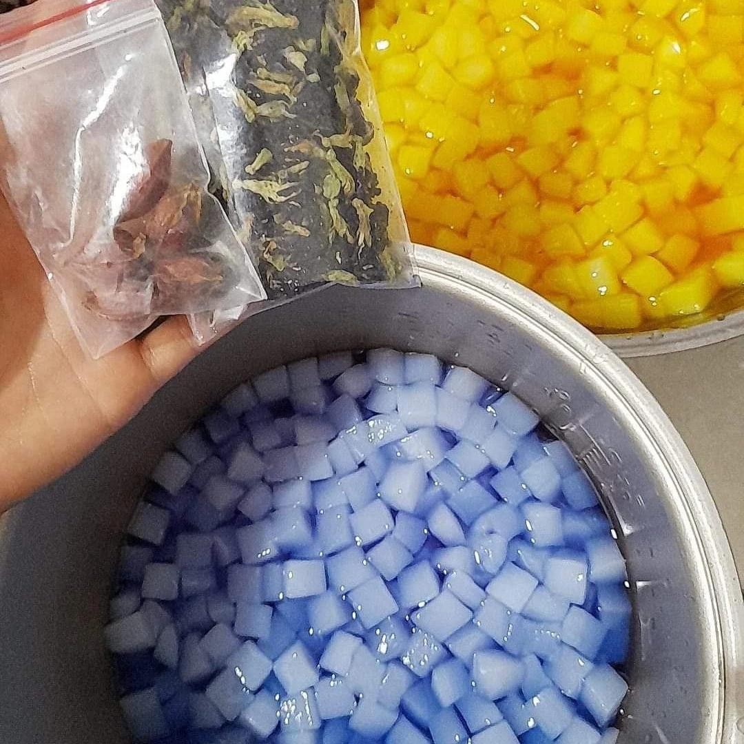 Dried Coconut Jelly Raw Nata De Coco