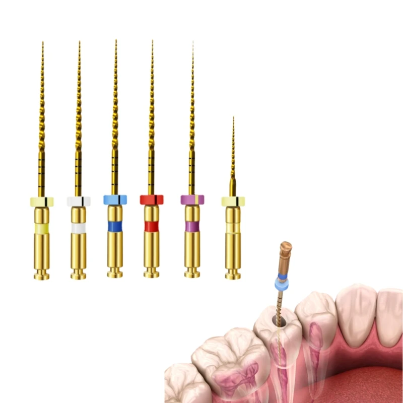 Dental Root Canal Files Heat Activated Golden NITI Flexible Rotary 21/25/31mm Assorted File for endodontic motor
