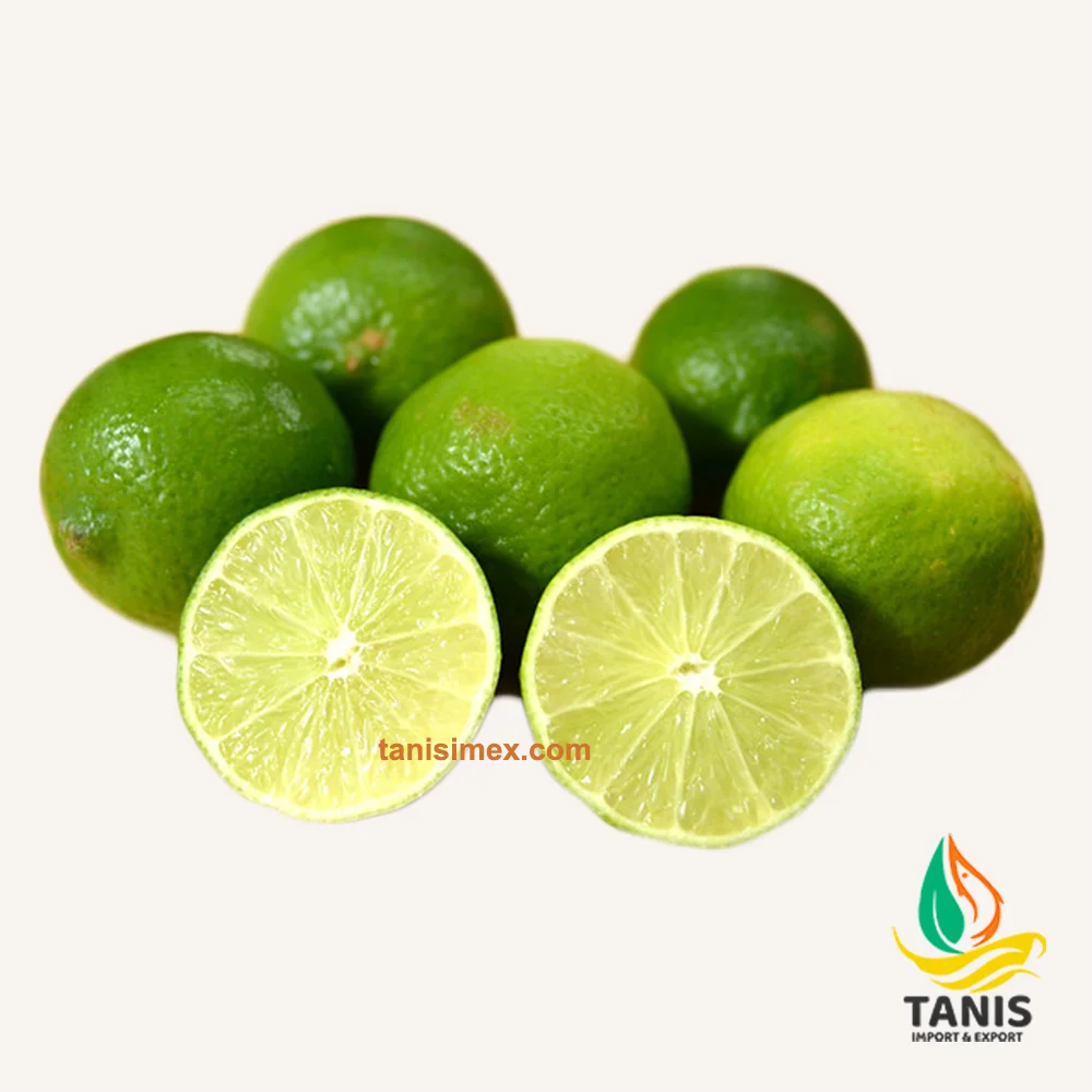 Fresh Persian Lime Premium quality Lemon packing in 6kg bag size 5-6 cm