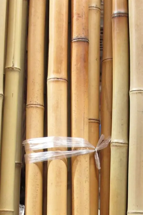 Sustainable bamboo high quality strong bamboo pole for garden decoration in Vietnam