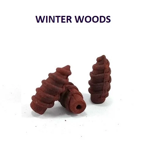 WINTER WOODS.jpg