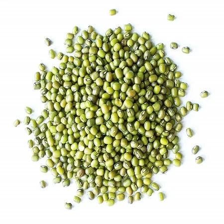 Vigna radiata- Ethiopia Mung Bean Green