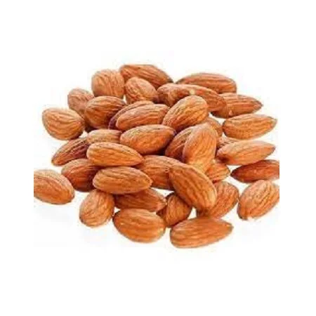 Almond nut - buy Natural Bulk Packing Wholesale Almond nut