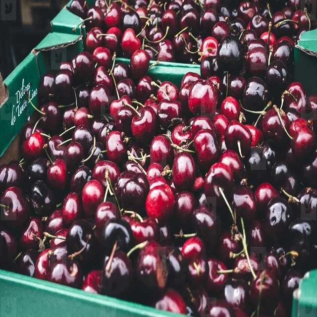 High Quality 2020 Fresh Cherries for export sweet cherry great quality cherry