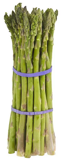 Fresh Jumbo Asparagus From Thailand Ready to Export Premium Quality Fresh Vegetable Green Asparagus