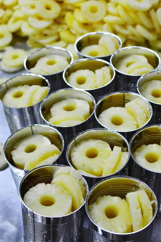 Хит продаж консервированные ломтики ананаса/КУСОЧКИ АНАНАСА для экспорта доступны оптом из Вьетнама