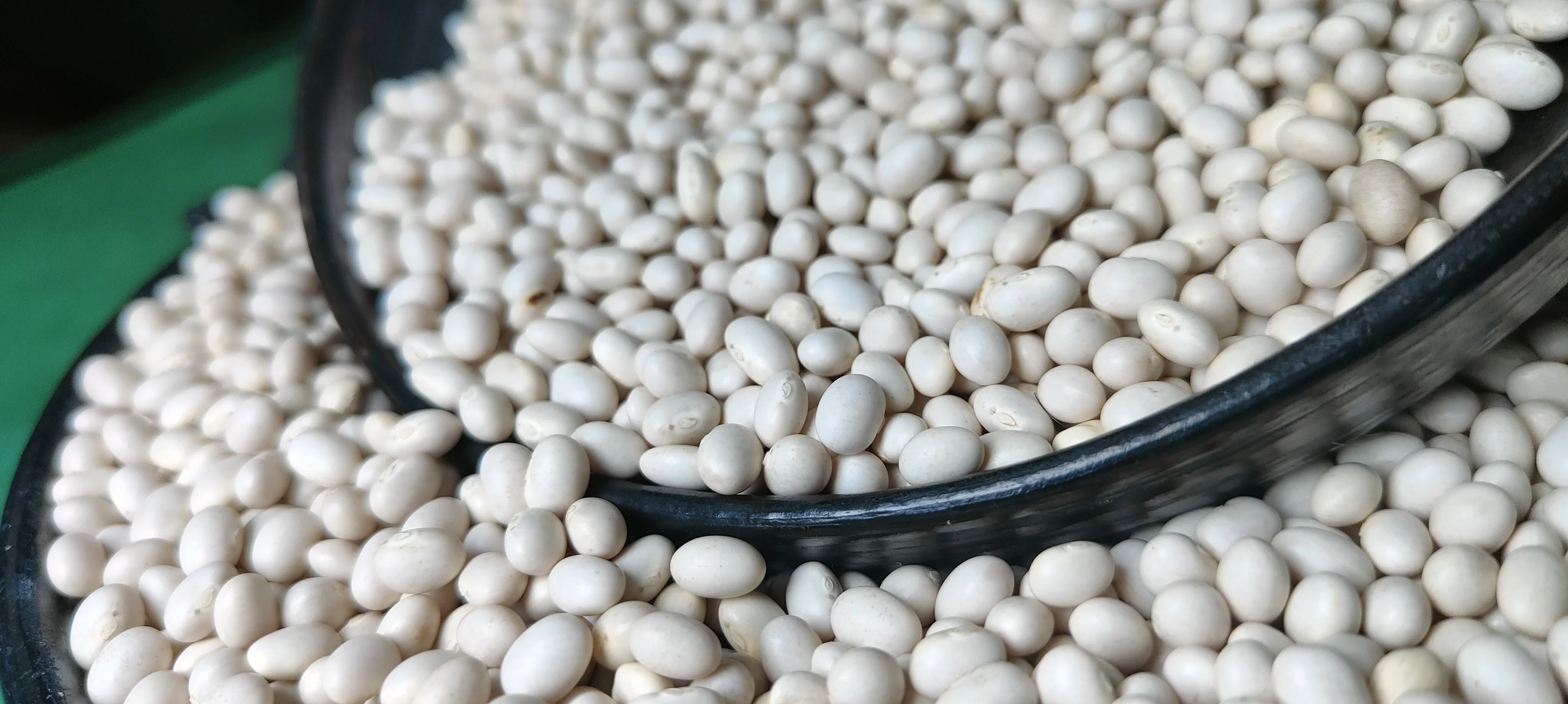2024 Crop Ethiopian White Pea Beans, 420-450PCS/100gm, 98.5% Purity, Bright White & Natural Wholesale Bulk Dried