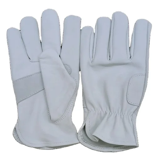 Premium green Cow Grain Leather Gloves With Best Finished Quality Directly From Manufacturer  Exporter Of Driving Gloves For Men