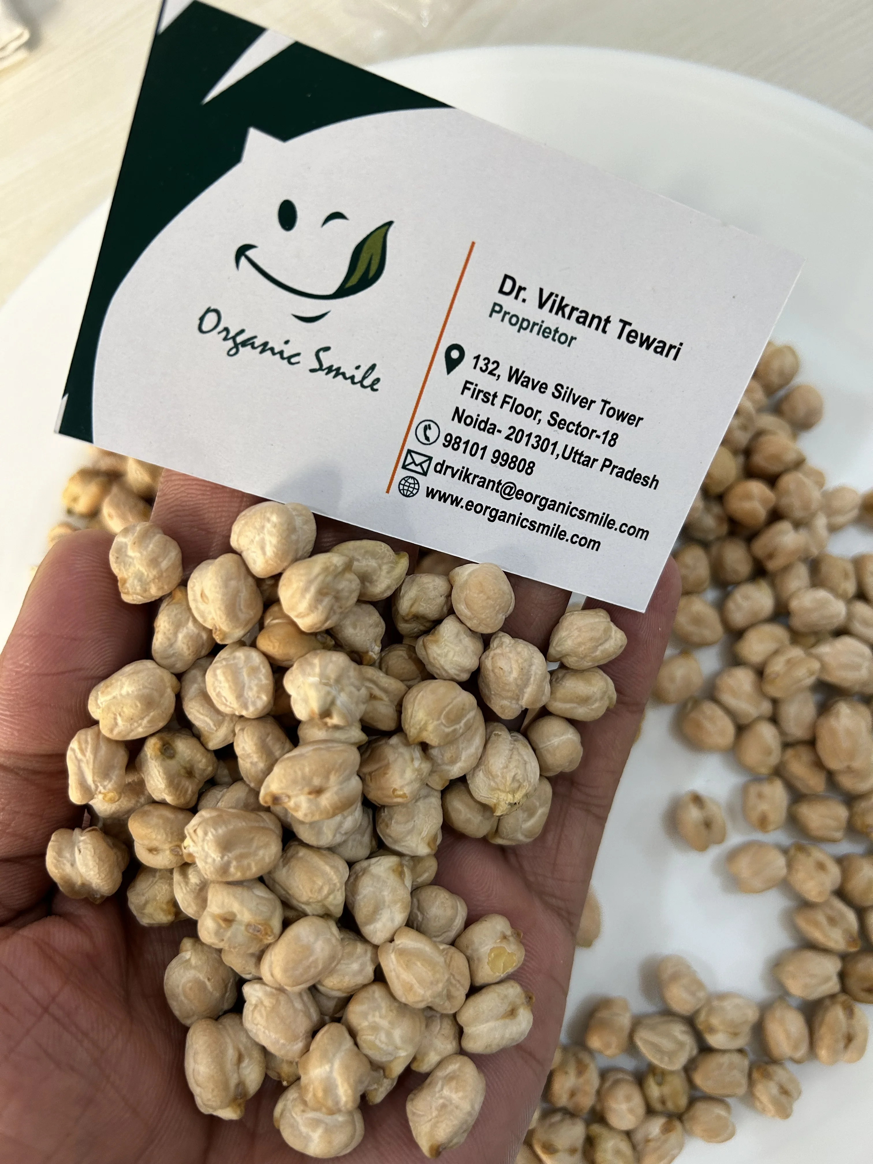 100% Pure Food Grade Kabuli Chana / White Chickpeas Wholesale Price Dried Chickpeas Purchase In Bulk Quantity