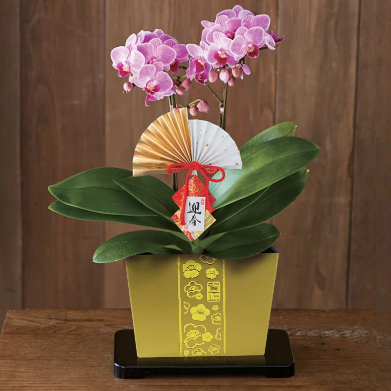 Factory Direct Sell Plastic Flower Pots Plastic Flower Pot Plastic Bowl Home Decoration & Square Vase