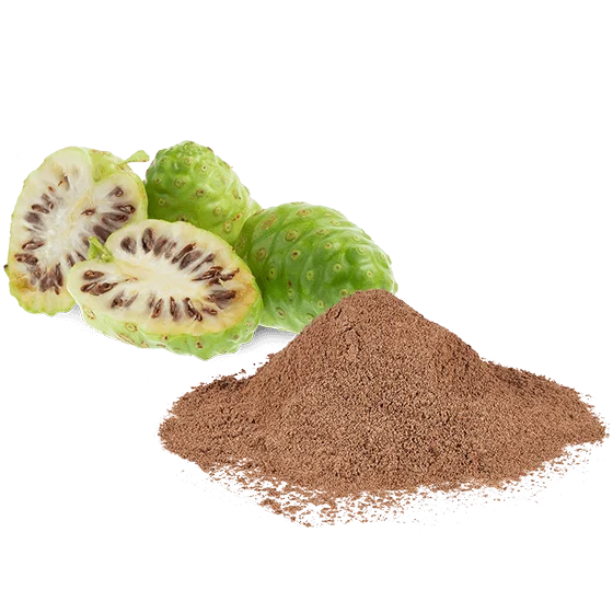 Wholesale Natural Noni Powder / Safe, Convenient, and Beneficial for Your Health