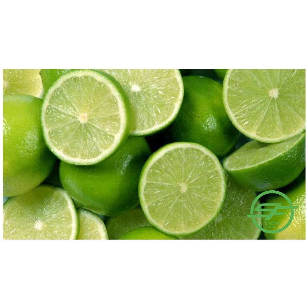 Fresh Lime / Lemon Seedless / lime Seedless for export in bulk