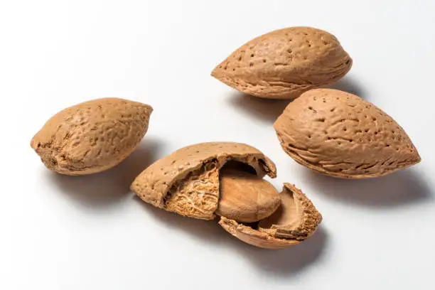 Миндаль в скорлупе (твердый сломанный), высокое качество, натуральный объем 10 кг в коробке, миндаль из Узбекистана, орехи Миндаля в скорлупе для пищевых продуктов