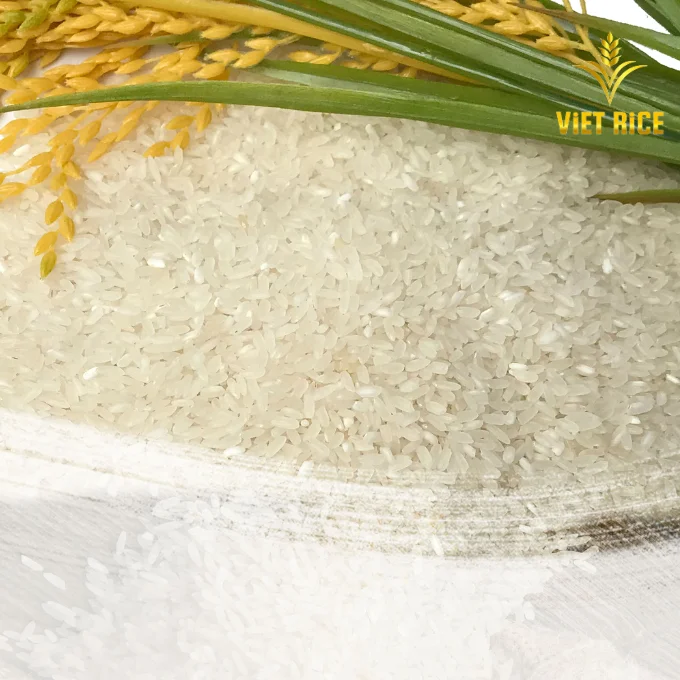 Calrose 5% Broken Rice International Standard From Vietnam With Best Price In Market And Advance Manufacturing System