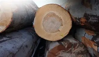 Бревна