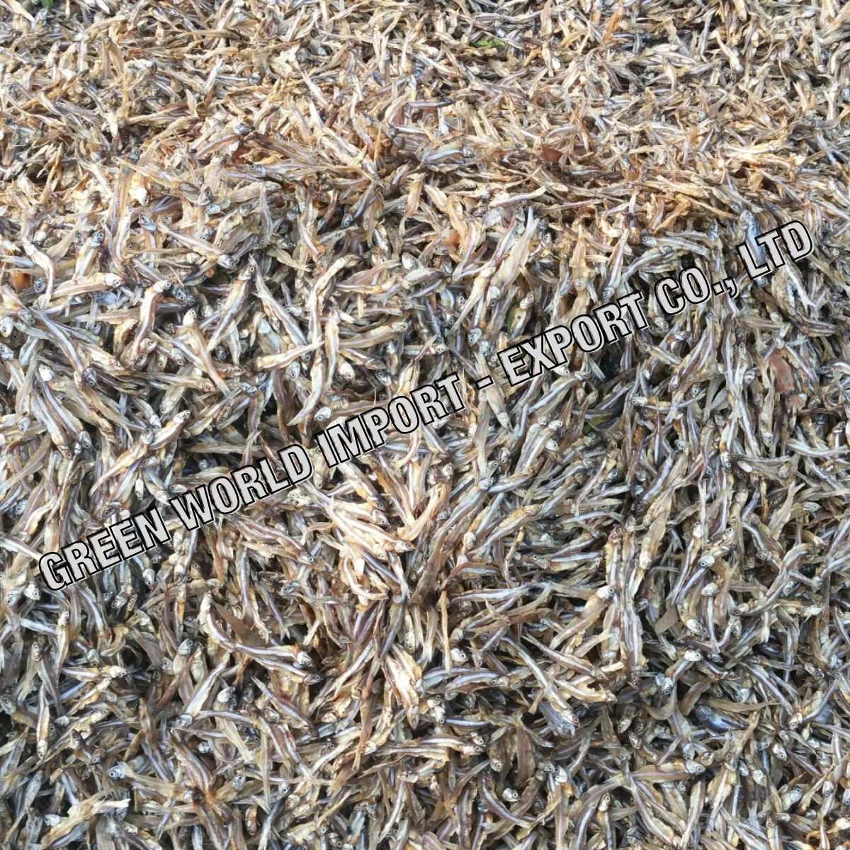 Сушеная Анчоуса в новый сезон-вьетнамский оптовый продавец-высокое качество и привлекательная цена для анчоусов