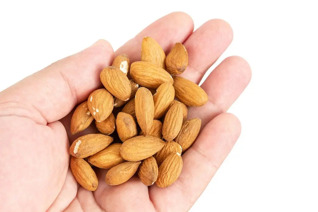 Wholesale Almond Raw Unsalted Unroasted Almonds Nuts / Buy Almonds In Bulk