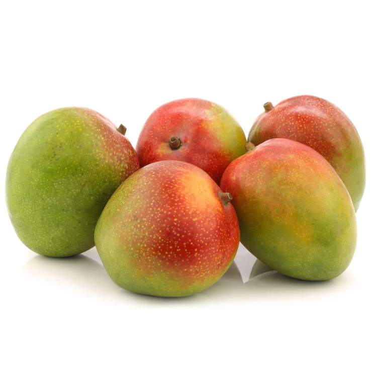 Best Price Good Quality Ecuador Fresh Fruit Kent Mango at Reasonable Market Price