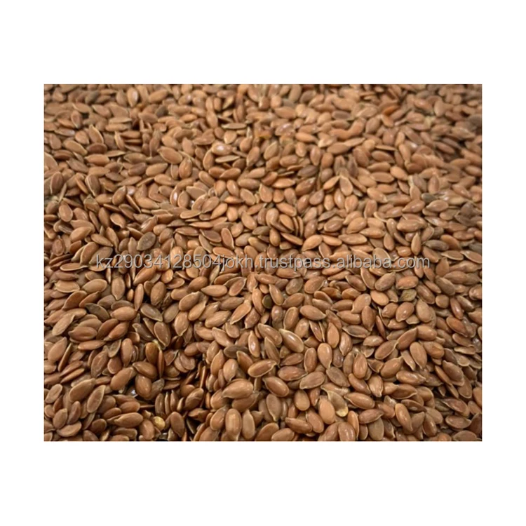 Oil flax seeds harvest 2021 Kazakhstani origin shipment in bulk in 20 and 40 foot containers (10000009401026)