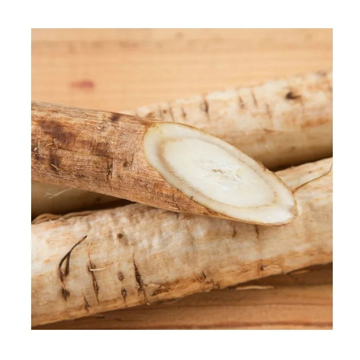 Wholesale Price Supplier of Fresh Vegetables Burdock Bulk Stock With Fast Shipping