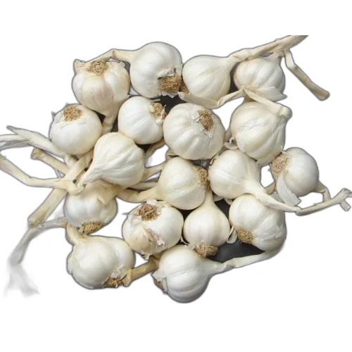 Ly Son garlic price per ton new season competitive price white garlic wholesale normal Ly Son island origin Vietnam