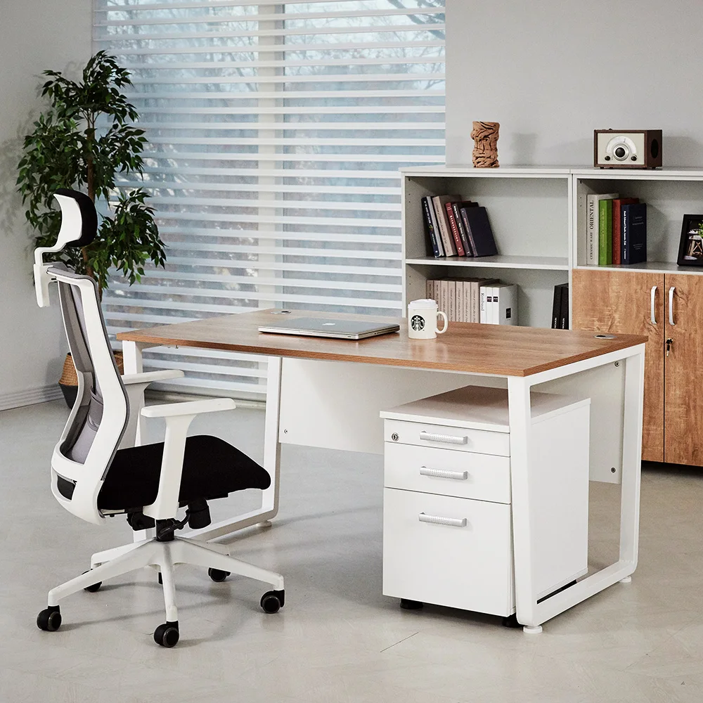 Modern Design Furniture Filing Cabinet File Cabinets Storage Cabinet Office Equipment with Drawer Wood Wooden Style