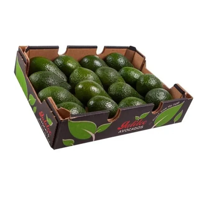 2023 Peruvian Tropical Hass Avocado Fresh Fruit of Peru Style Origin Common Cultivation Model Variety Product Fresh Avocados