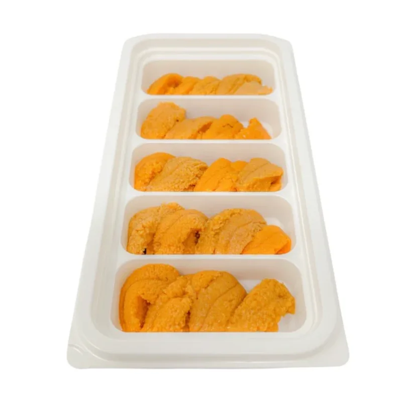 frozen sea urchin / fresh sea urchin / dried sea urchin for sale