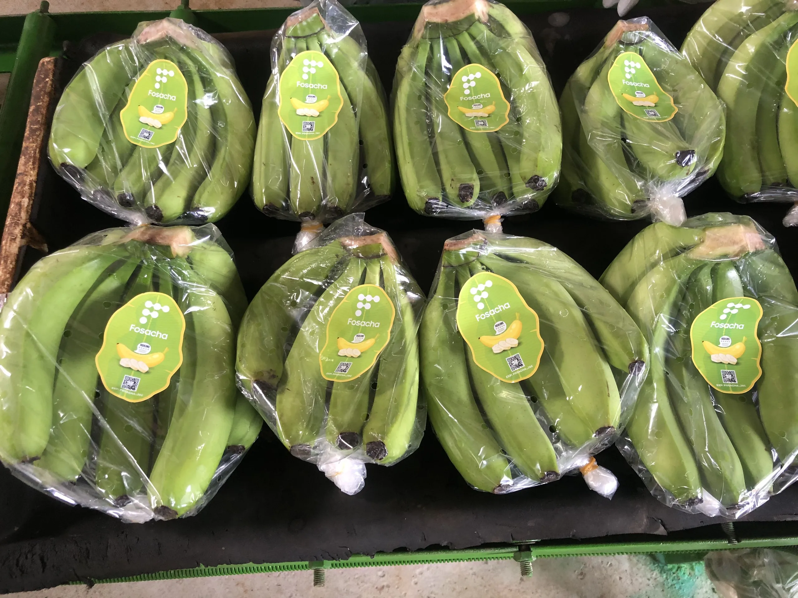 FRESH AND PREMIUM QUALITY HIGHLAND BANANA FROM VIET NAM - GOOD PRICE AVAILABLE FOR WHOLESALE EXPORT