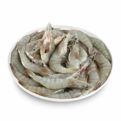 High Quality Frozen Shrimp /Frozen Natural Black Tiger Shrimp / Vannamei shrimps Seafood