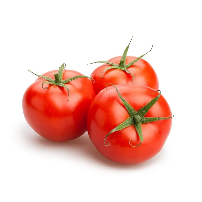 Fresh Tomatoes Fast Shipping High Quality Export Orined Direct Factory Wholesale Cheap Price Tomato From Bangladesh