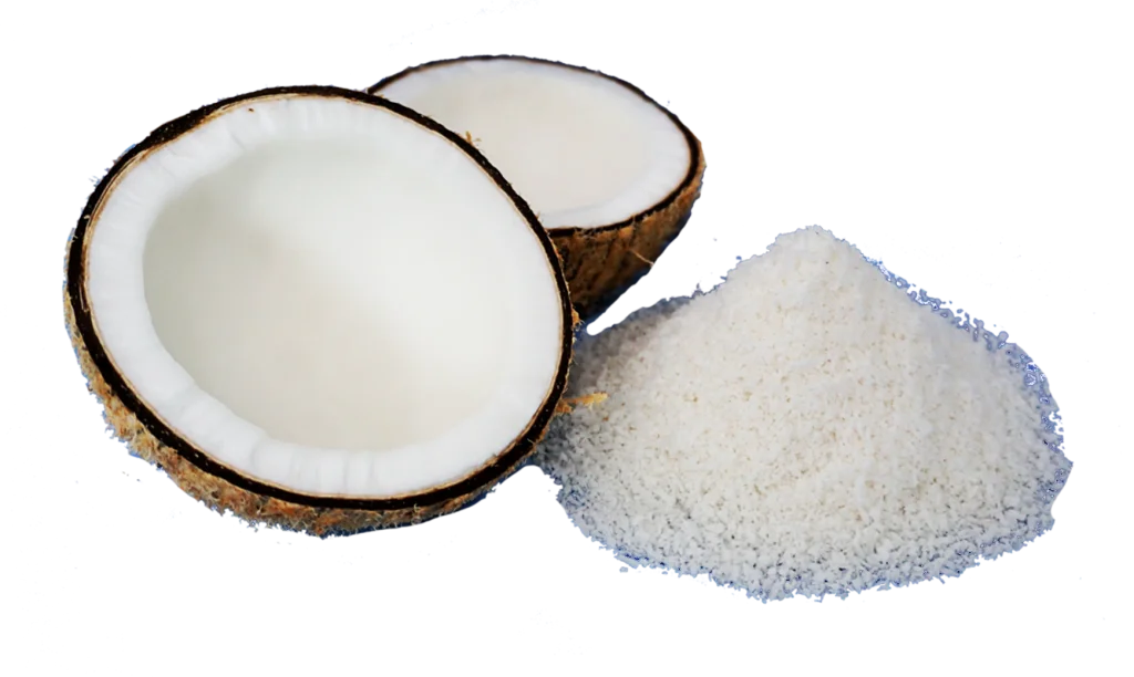 FAST DELIVERY DRIED FRUIT DESICCATED COCONUT MEAT VIETNAM DISTRIBUTOR