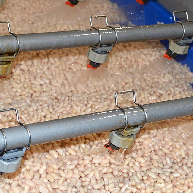 Extra Quality Canned Pulses Healthy Legumes Ready to eat Organic Cooked White Butter Beans with Vegetables in jar for Retail