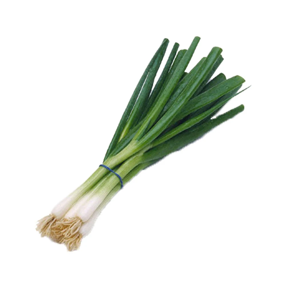 Hot Sale High Quality Fresh shallot Green Onion Low Price Onion Fresh Vegetables cheap price Fresh Onions