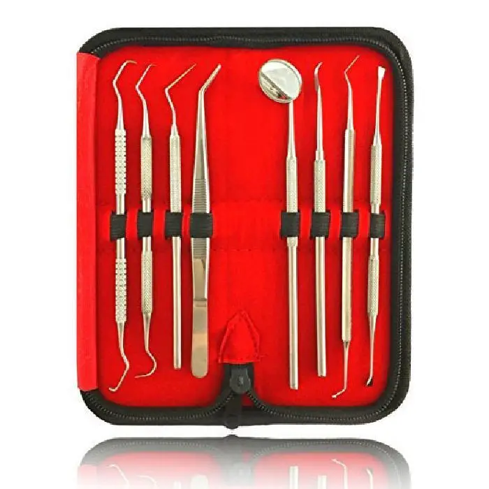 Dental Examination Kit Stainless Steel Dental Basic Examination Kit of 5 Pcs with Leather Case